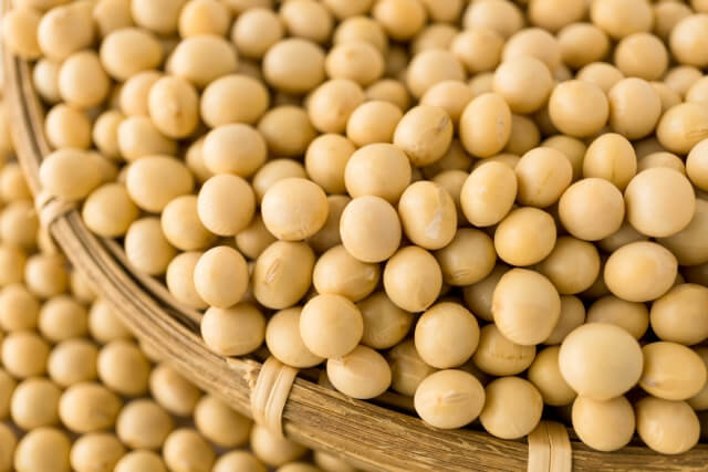 大豆の画像（イメージ）