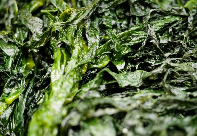 海藻の画像（イメージ）